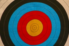 Luton-Archery-Friendly-Game-02-11-14-Paresh-Solanki-6