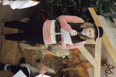 Picture-188