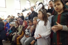 Picture-202
