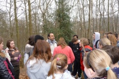 maulden-woods-2011